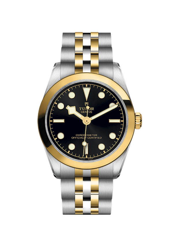 Tudor Black Bay Black Bay 31 S&G M79603-0001