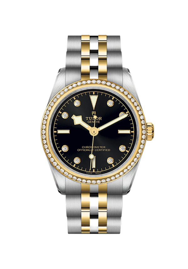 Tudor Black Bay Black Bay 31 S&G M79613-0005