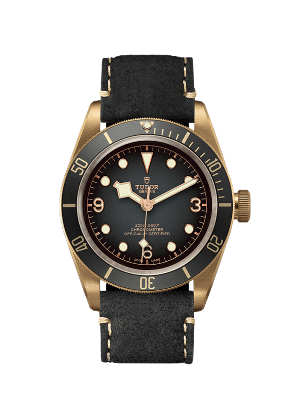 Tudor Black Bay Black Bay Bronze M79250BA-0001