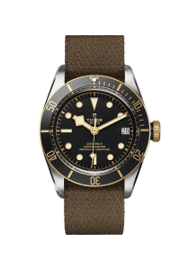 Tudor Black Bay Tudor Black Bay S&G M79733N-0005