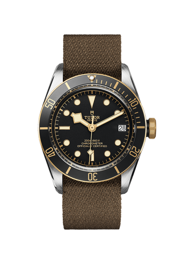 Tudor Black Bay Tudor Black Bay S&G M79733N-0005