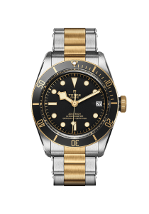 Tudor Black Bay Tudor Black Bay S&G M79733N-0008