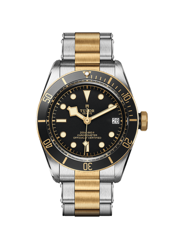 Tudor Black Bay Tudor Black Bay S&G M79733N-0008