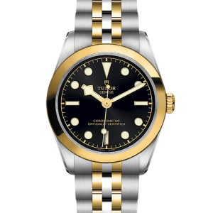 Tudor Black Bay Black Bay 31 S&G M79603-0001