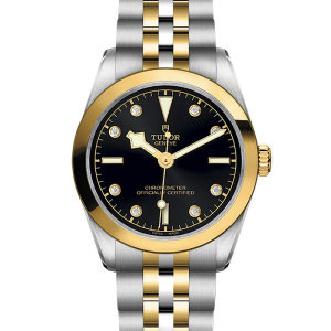 Tudor Black Bay Black Bay 31 S&G M79603-0006