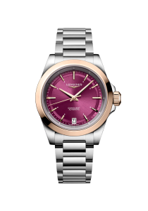 Longines Conquest Conquest L3.430.5.98.6