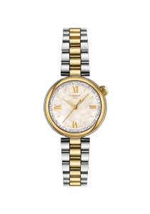 Tissot T-Lady Desir 28 mm T152.010.22.118.01