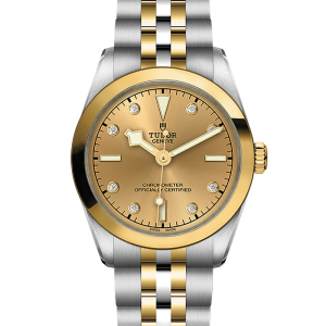 Tudor Black Bay Black Bay 31 S&G M79603-0008