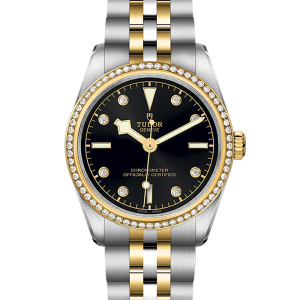 Tudor Black Bay Black Bay 31 S&G M79613-0005