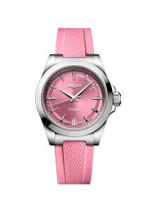 Longines Conquest Conquest L3.430.4.99.9